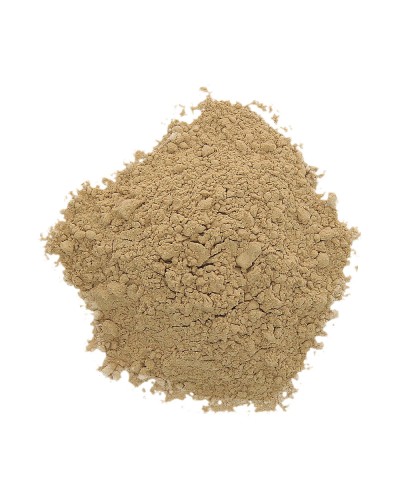 Maitake • 100 gram