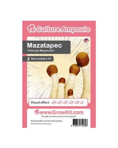 Mazatapec • Culture Ampoule Set