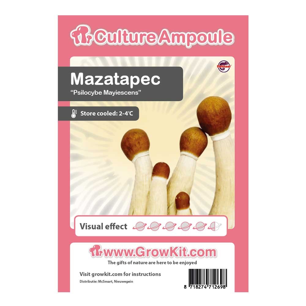 Mazatapec • Culture Ampoule Set