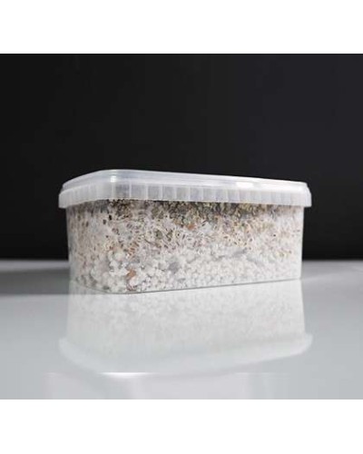 Mazatapec Growkit • 2100 cc