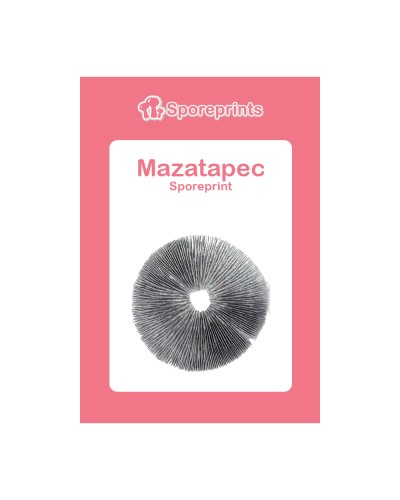 Mazatapec Sporeprint