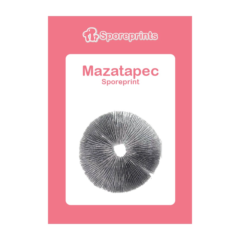 Mazatapec Sporeprint