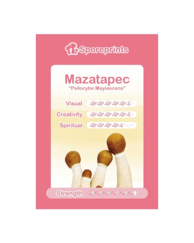 Mazatapec Sporeprint