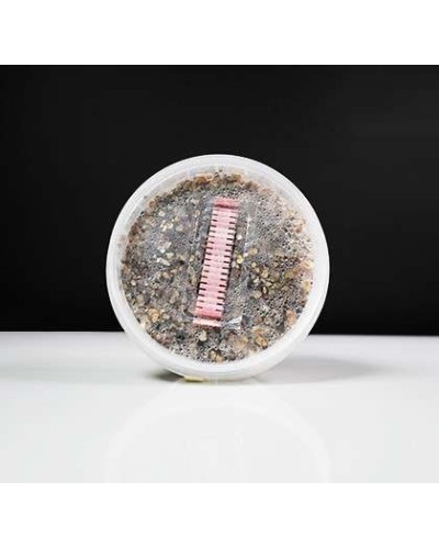 McKennaii Growkit • 250 cc