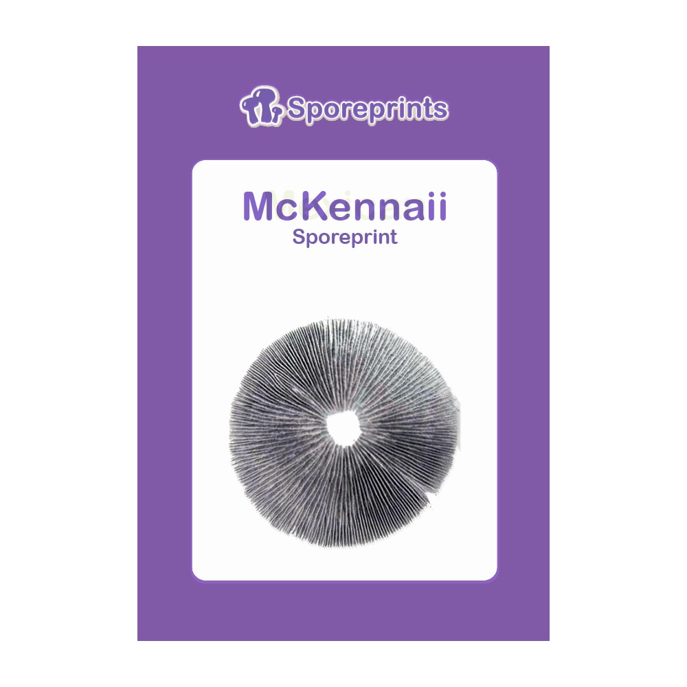 McKennaii • Sporeprint
