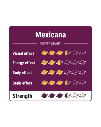 Mexicana • 15 gram