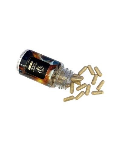 Microdose Synergy • 60 capsules