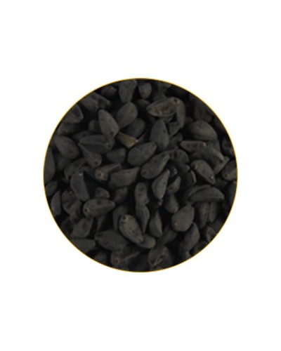 Morning Glory • 300 zaden