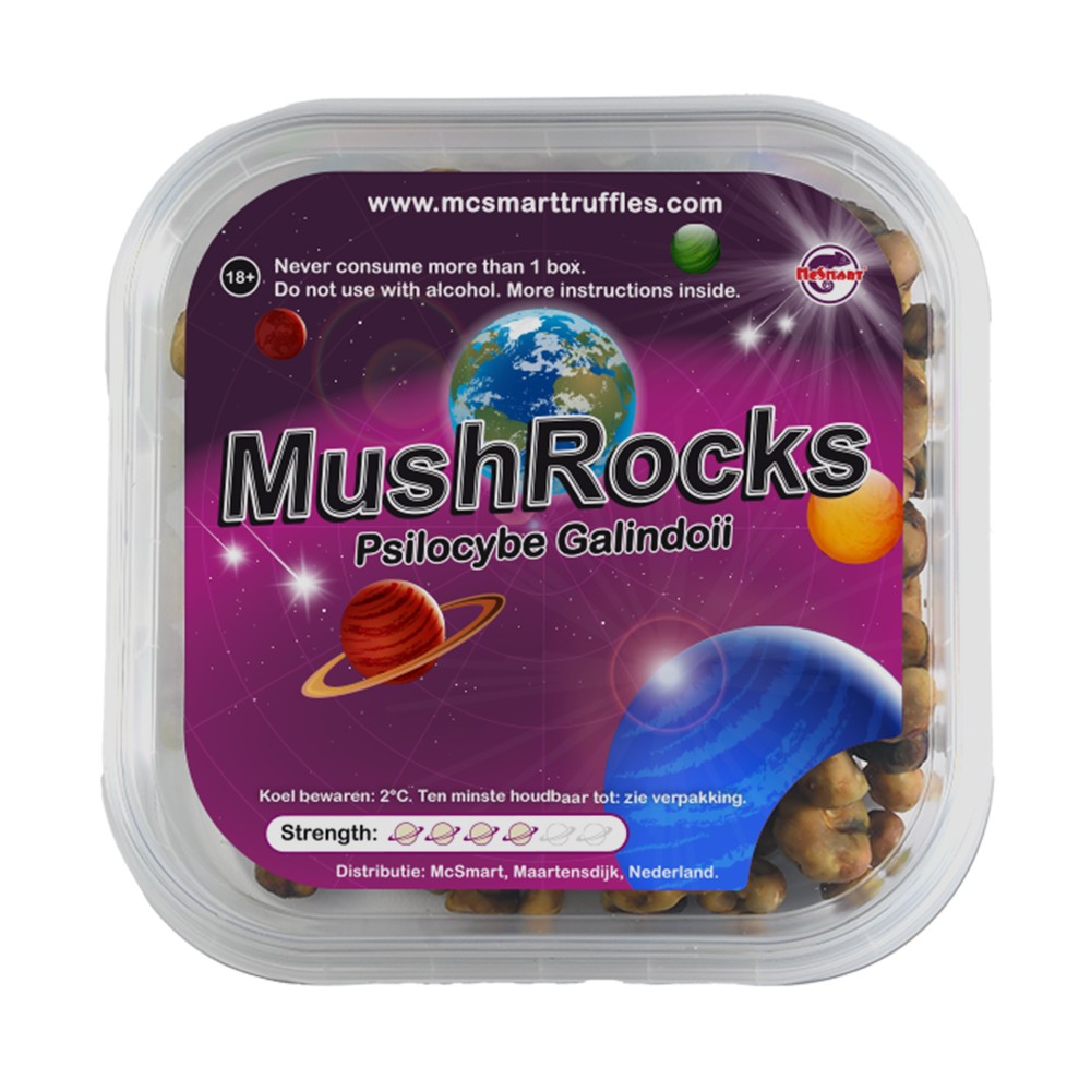 MushRocks • 15 gram