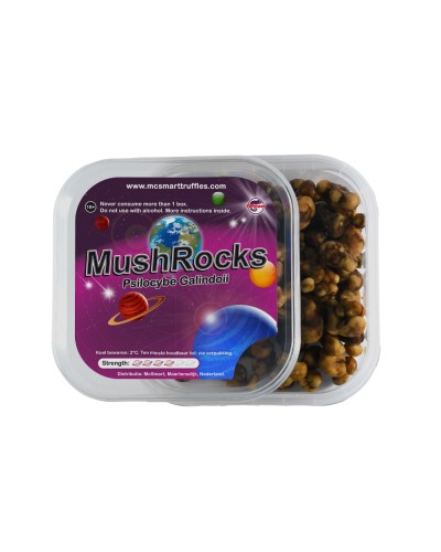 MushRocks • 15 gram