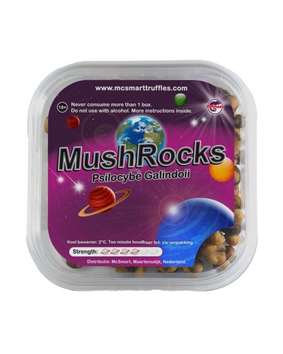 MushRocks • 20 gram