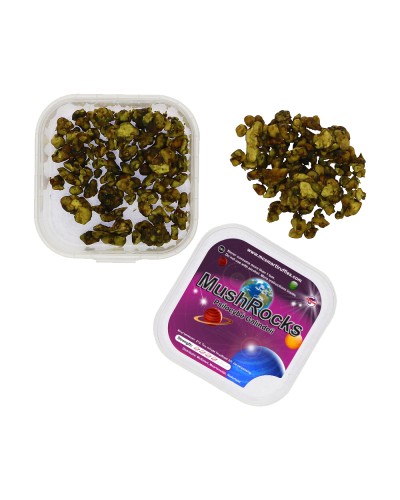 MushRocks • 20 gram