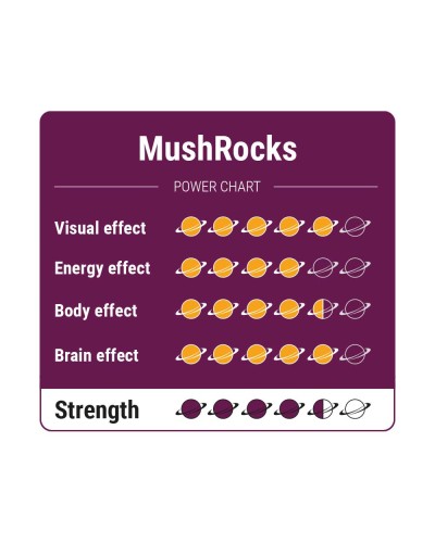MushRocks • 20 gram