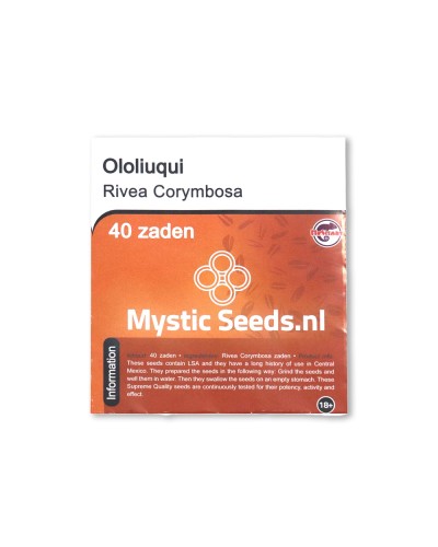 Ololiuqui • 40 zaden