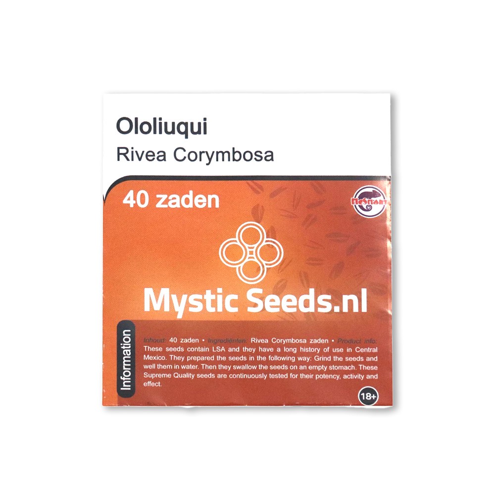 Ololiuqui • 40 zaden