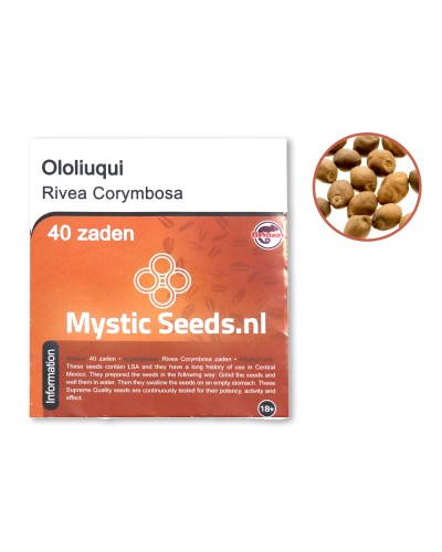 Ololiuqui • 40 zaden