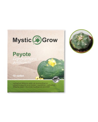 Peyote L Williamsii seeds • 10 stuks