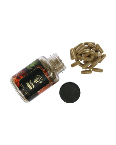 Reishi extract capsules • 120 stuks