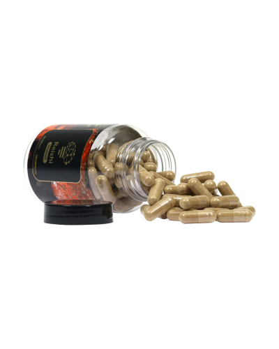 Reishi extract capsules • 120 stuks