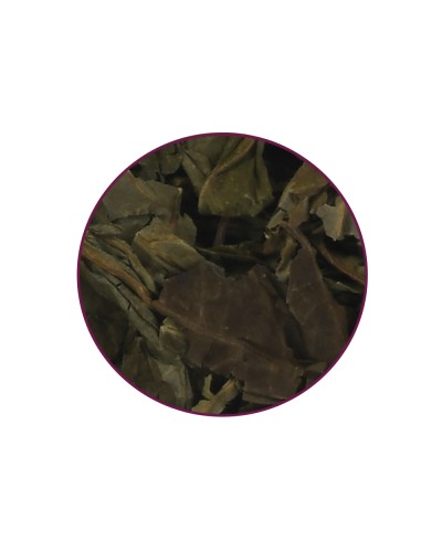 Salvia Divinorum Leaf • 10 gram