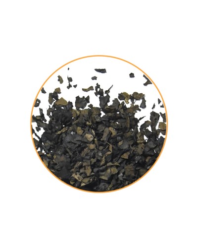 Salvia Mystic 15X Extract • 1 gram