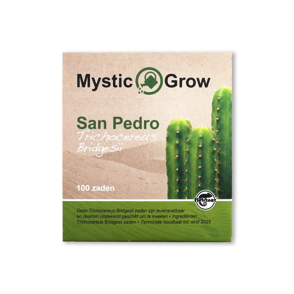 San Pedro T bridgesii zaden • 100 stuks