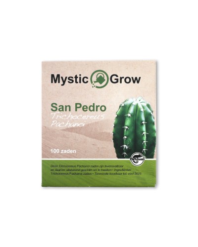 San Pedro T Pachanoi zaden • 100 stuks