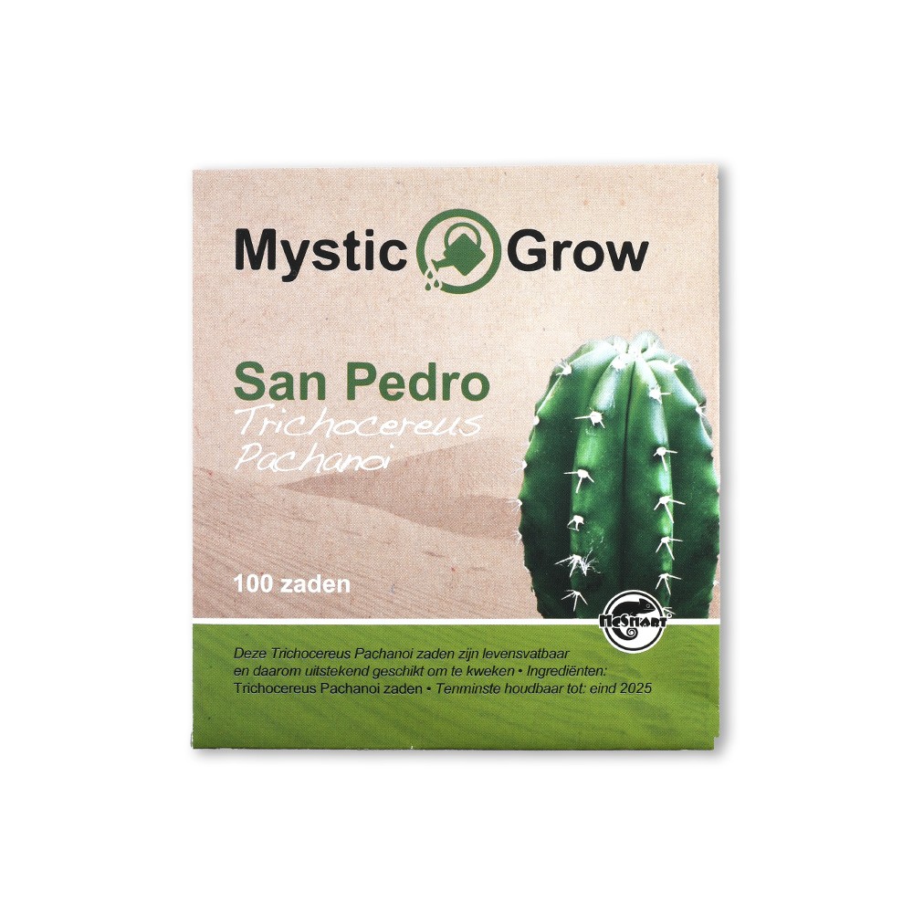 San Pedro T Pachanoi zaden • 100 stuks