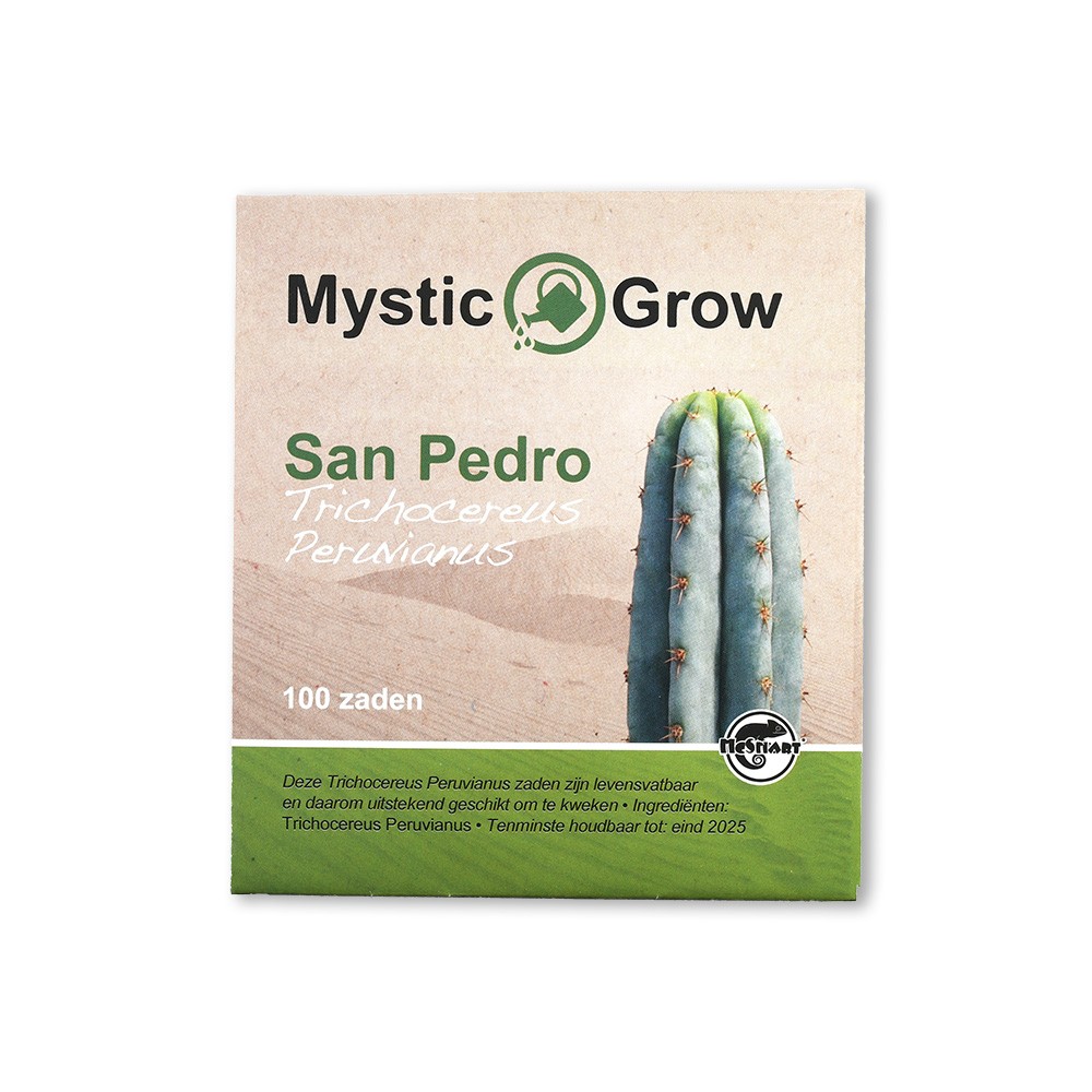 San Pedro T. Peruvianus seeds • 100 stuks