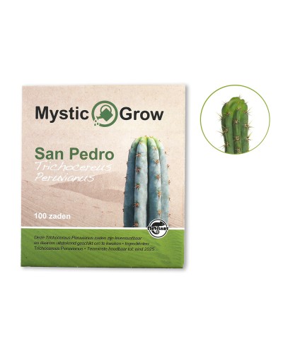 San Pedro T. Peruvianus seeds • 100 stuks