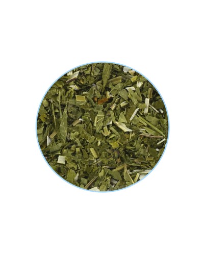Skullcap • 50 gram