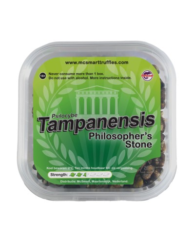 Tampanensis • 15 gram