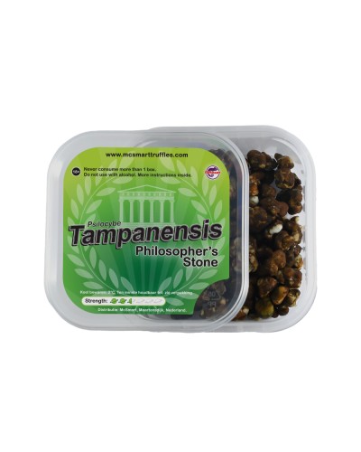 Tampanensis • 15 gram