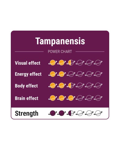 Tampanensis • 15 gram