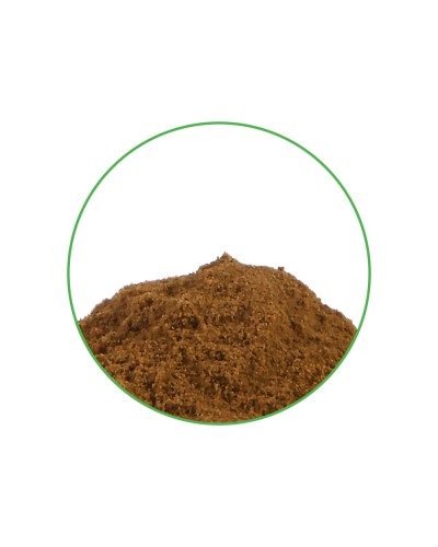 Wild Dagga 20X Extract • 1 gram