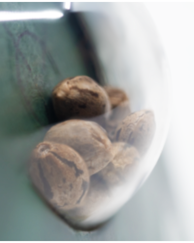 Hash Plant • Standaard