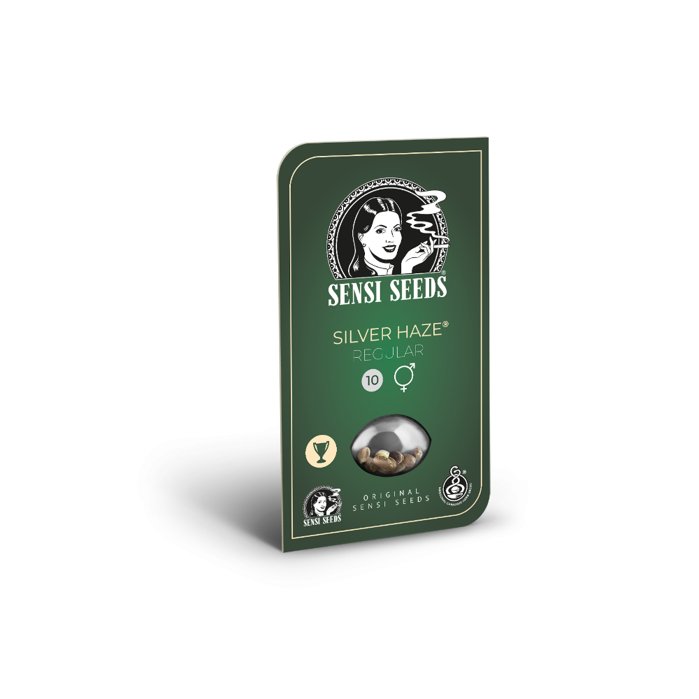 Silver Haze • Standaard