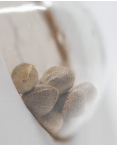 Female Mix • Gefeminiseerd