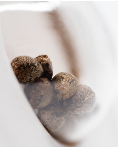 White Widow • Gefeminiseerd