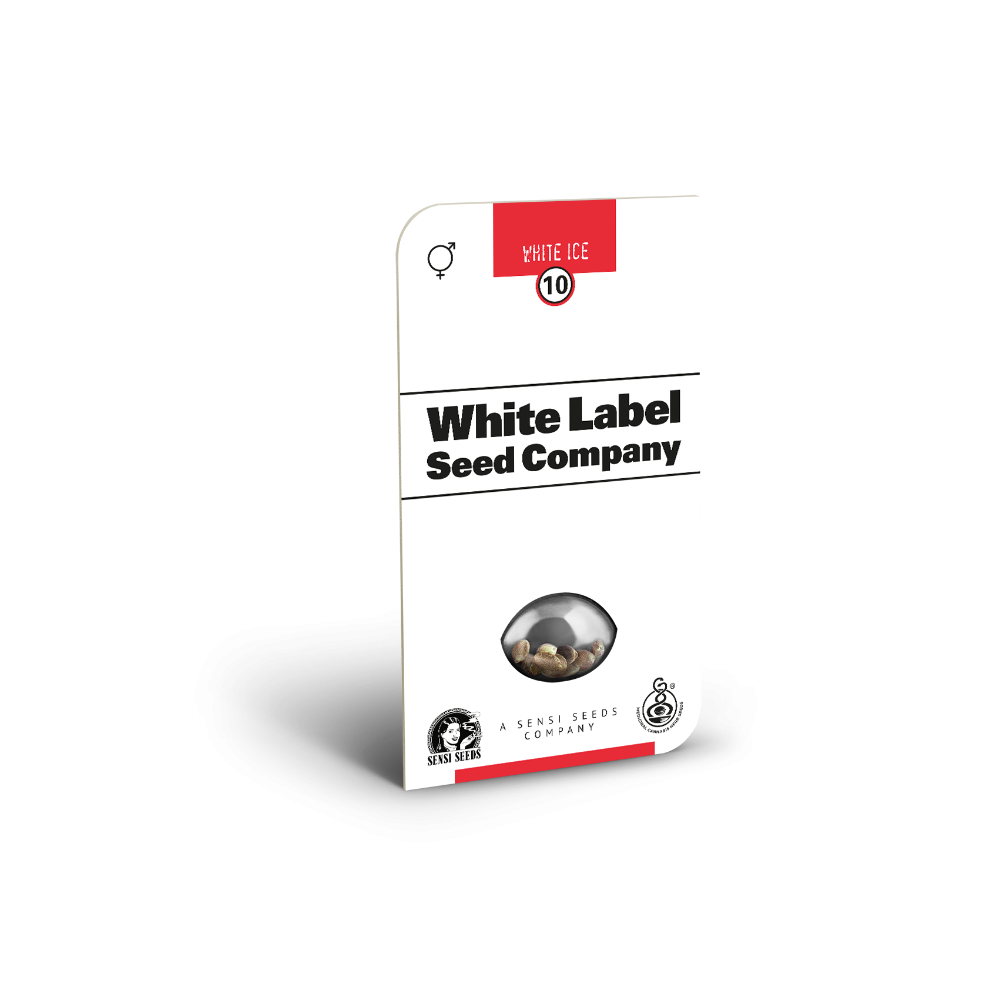 White Ice • Gefeminiseerd