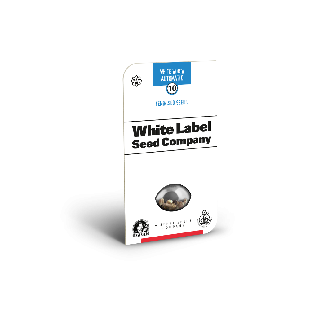 White Widow • Autoflower