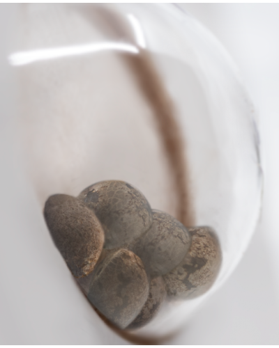 Banana Kush • Gefeminiseerd