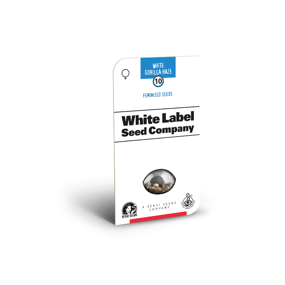 White Gorilla Haze • Gefeminiseerd