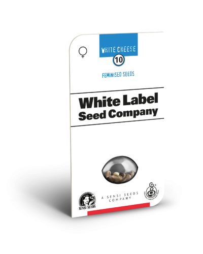 White Cheese • Gefeminiseerd