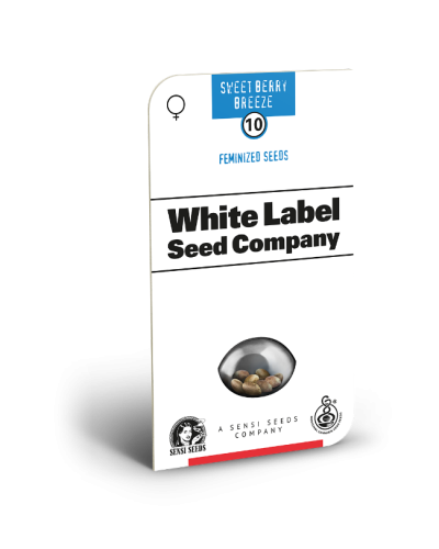 Sweet Berry Breeze • Gefeminiseerd