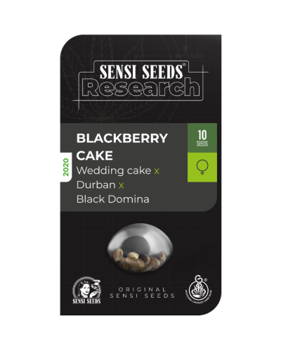 Blackberry Cake • Gefeminiseerd