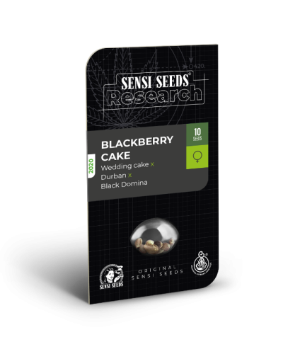 Blackberry Cake • Gefeminiseerd