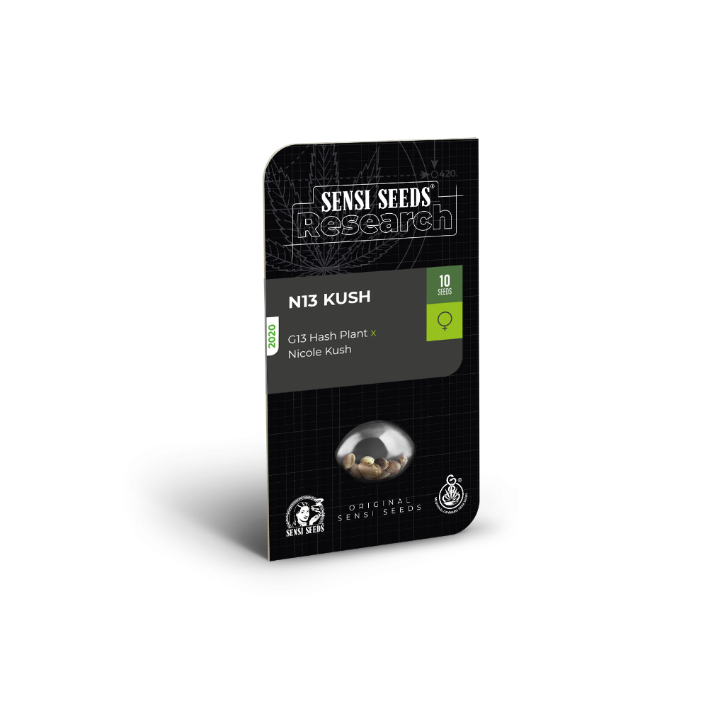 N13 Kush • Standaard