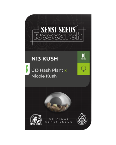 N13 Kush • Standaard