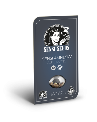 Sensi Amnesia • Autoflower